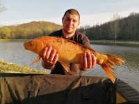 93204714_2988892081171598_5699685076560773120_o