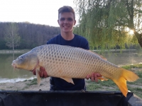 93867431_3000234710037335_1772736039048183808_o