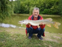 100549389_3083792678348204_4808476777070460928_o