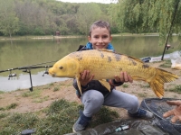 95721999_3029022753825197_5432145396119896064_o