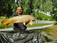 101574507_3106007512793387_7766755211518935040_n