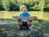 118615109_3355406364520166_7513379906015406855_n