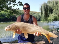 119476095_3404161672977968_6468629423212578691_o