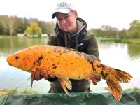 278583559_5128558560538262_3571372498461713339_n