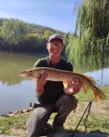 310747766_5611524278908352_3022788627035000622_n