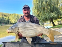 311453868_5636935969700516_6432841876082209724_n