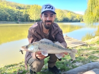 311569419_5651909398203173_6658031193736995607_n